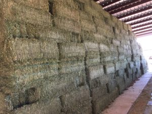 2016 hay delivery!